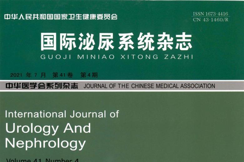 国际泌尿系统