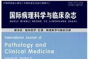 国际病理科学与临床