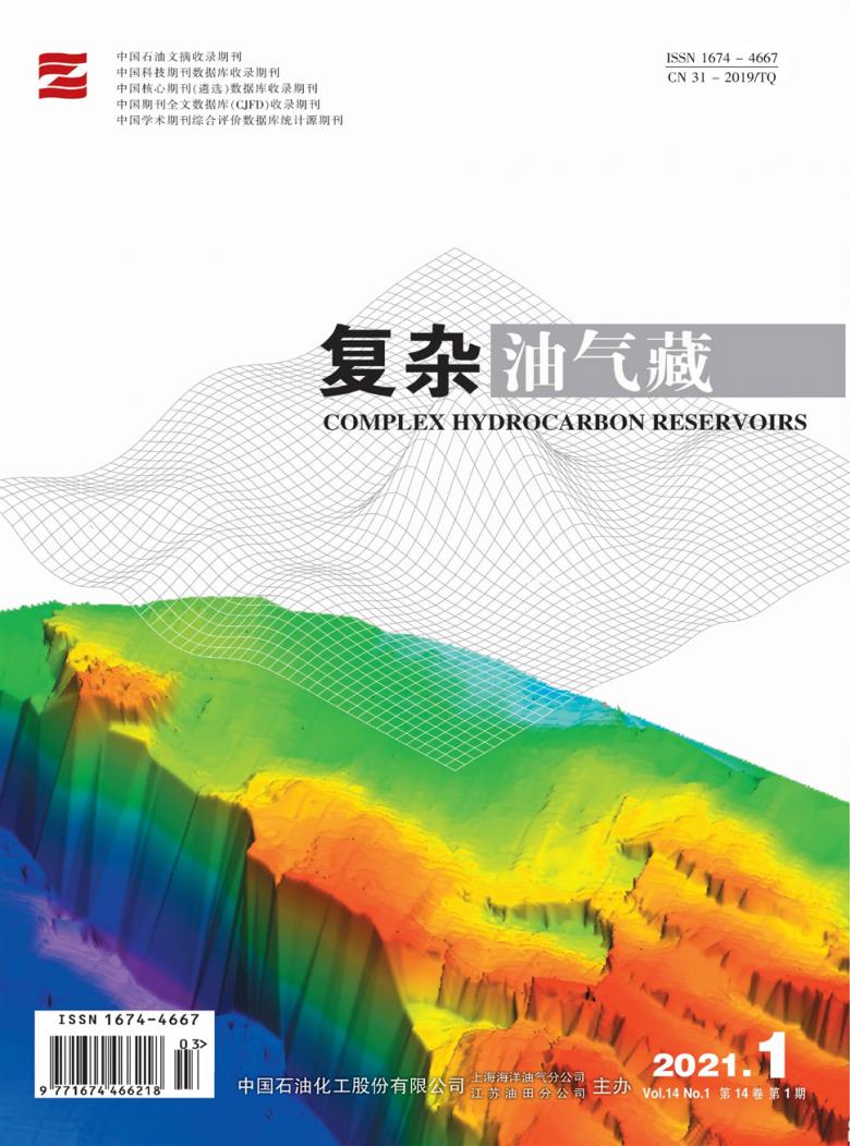复杂油气藏封面