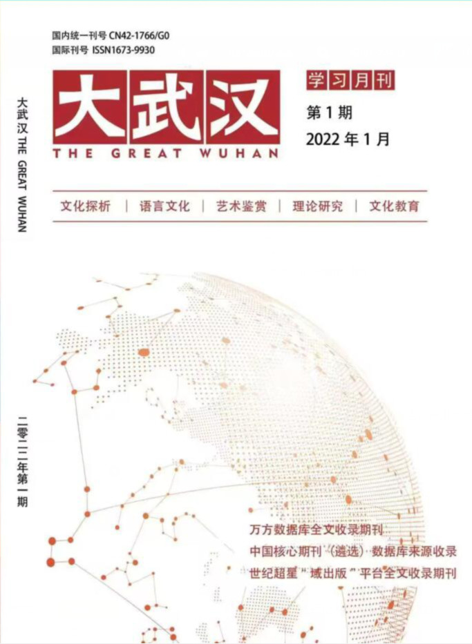 大武汉封面