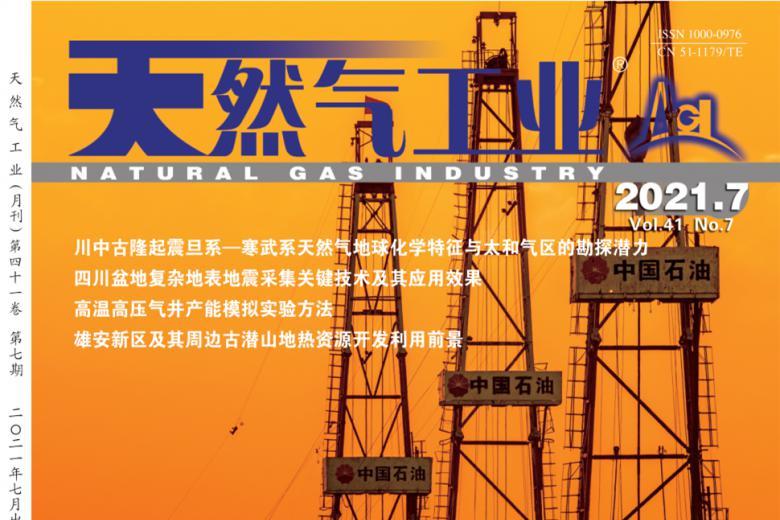 天然气工业