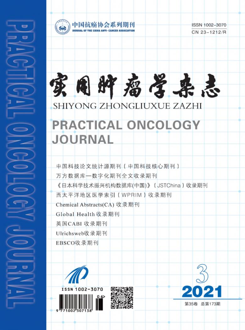 实用肿瘤学杂志封面