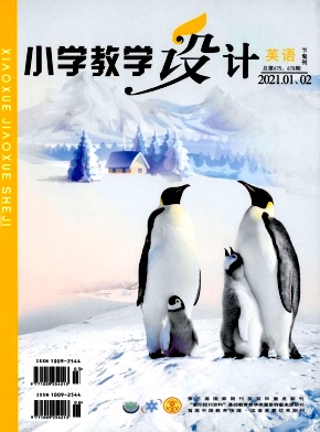 小学教学设计杂志封面