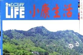 小康生活
