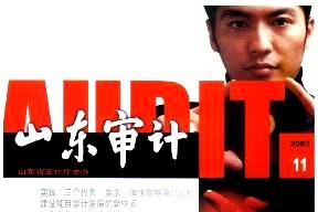 山东审计