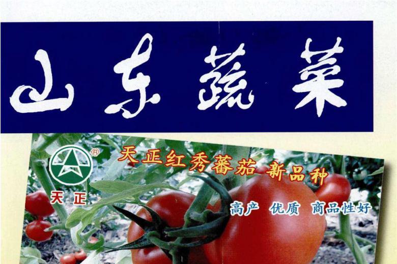 山东蔬菜