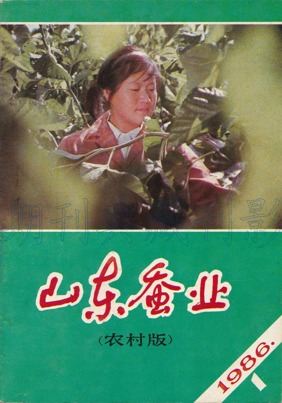 山东蚕业杂志封面