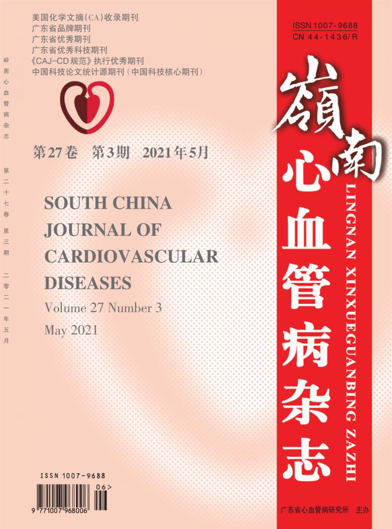 岭南心血管病杂志封面