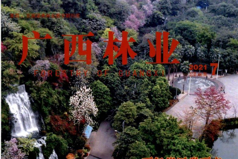 广西林业