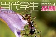 当代学生