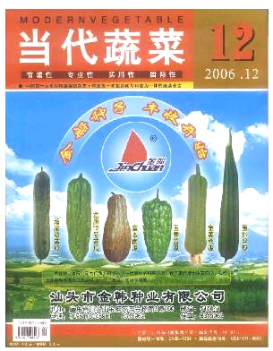 当代蔬菜封面