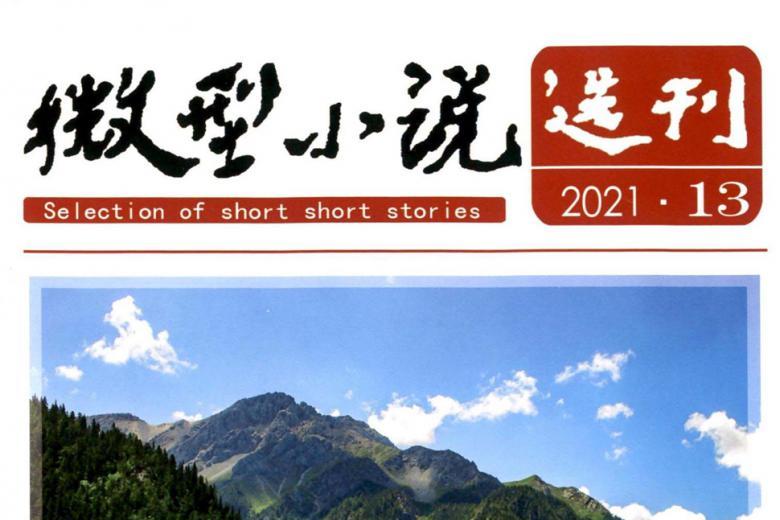 微型小说选刊