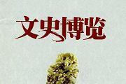 文史博览