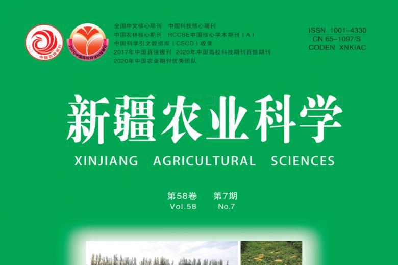新疆农业科学