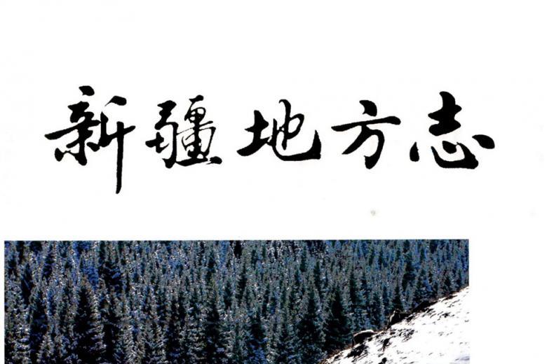 新疆地方志