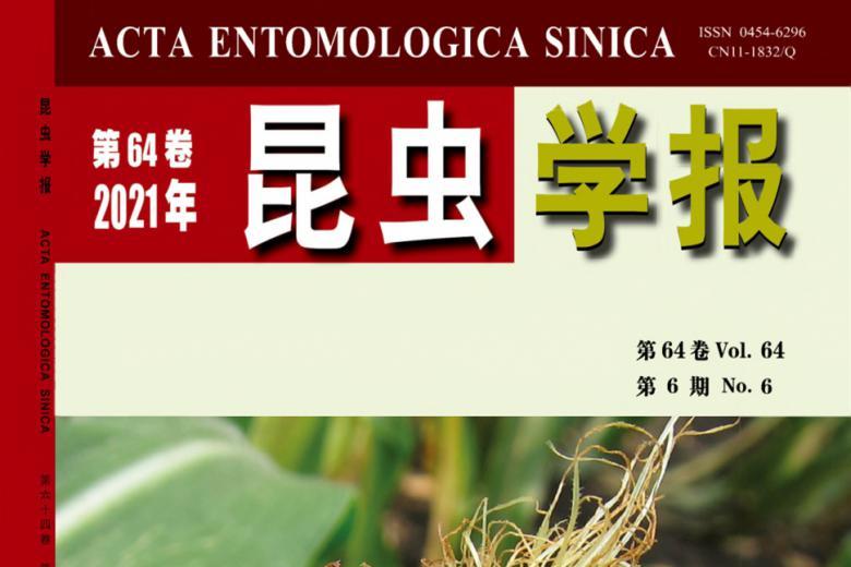 昆虫学报