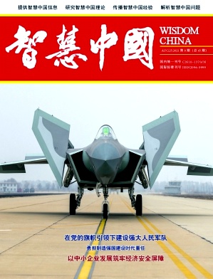 智慧中国封面