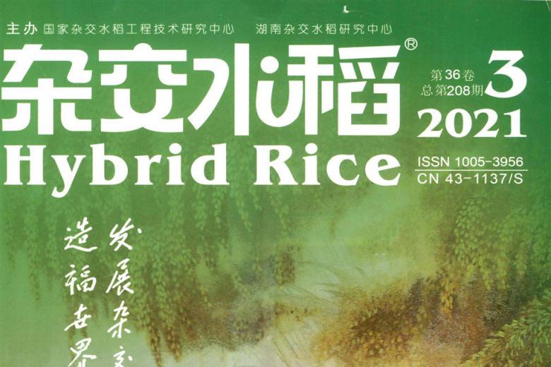 杂交水稻