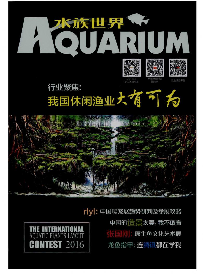 水族世界杂志封面