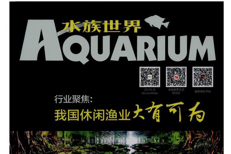 水族世界