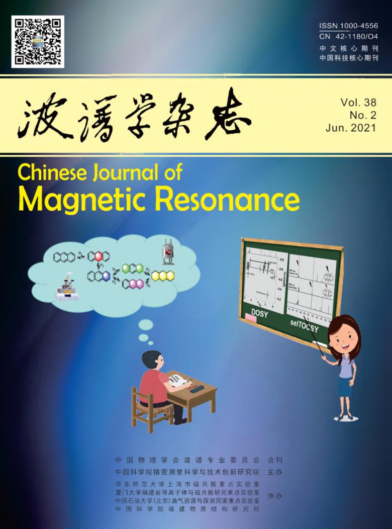 波谱学杂志封面