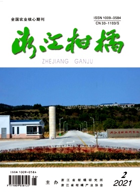 浙江柑橘杂志封面