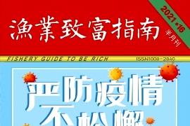 渔业致富指南