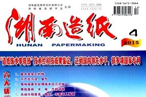 湖南造纸