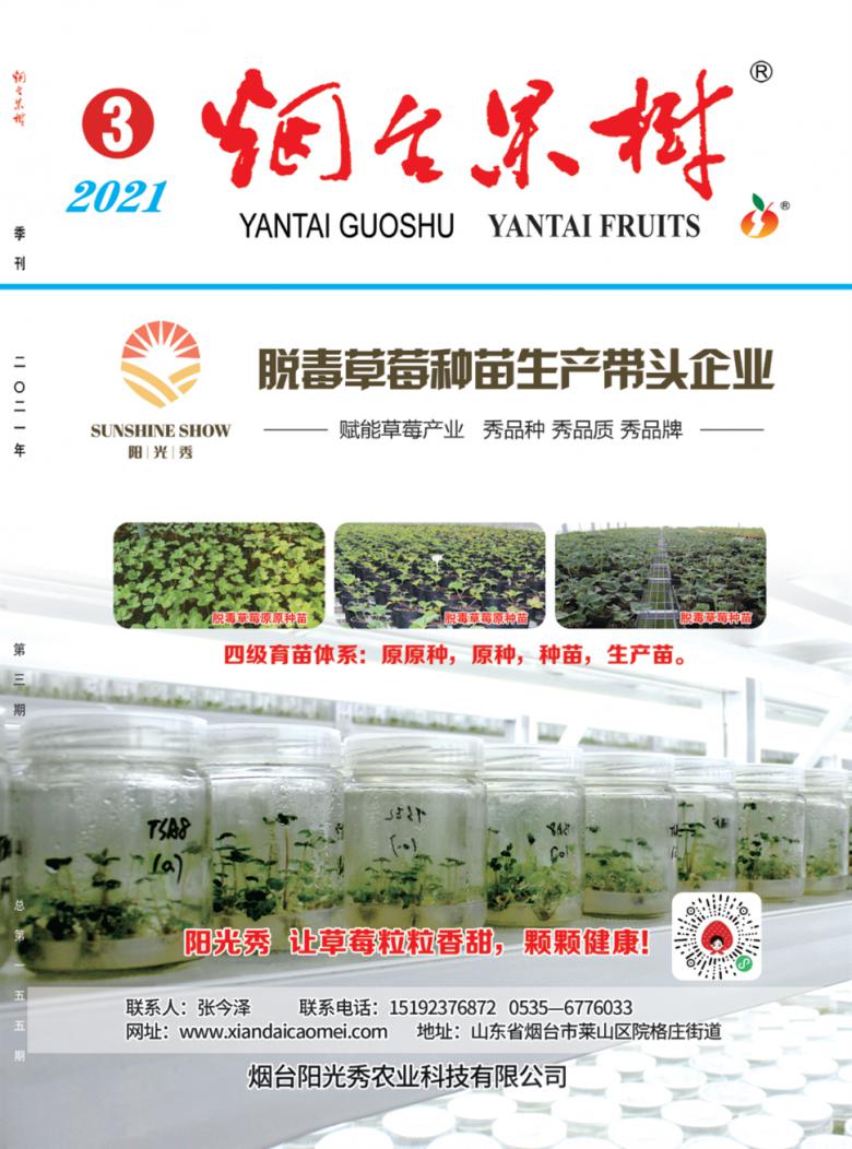 烟台果树杂志封面