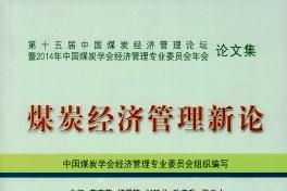 煤炭经济管理新论