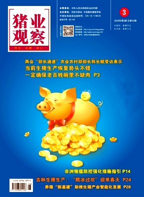 猪业观察封面