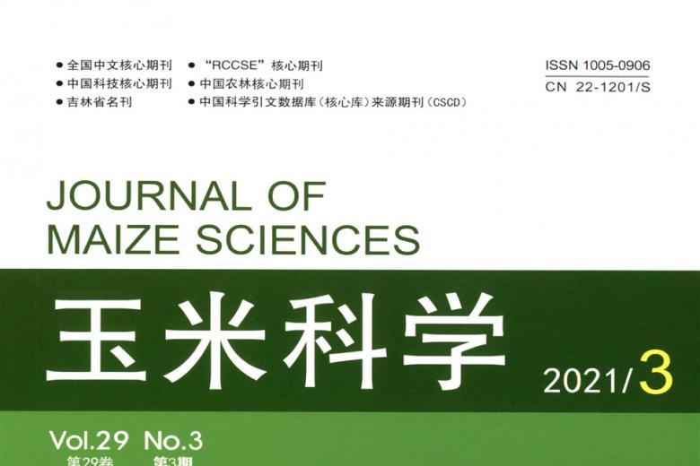 玉米科学