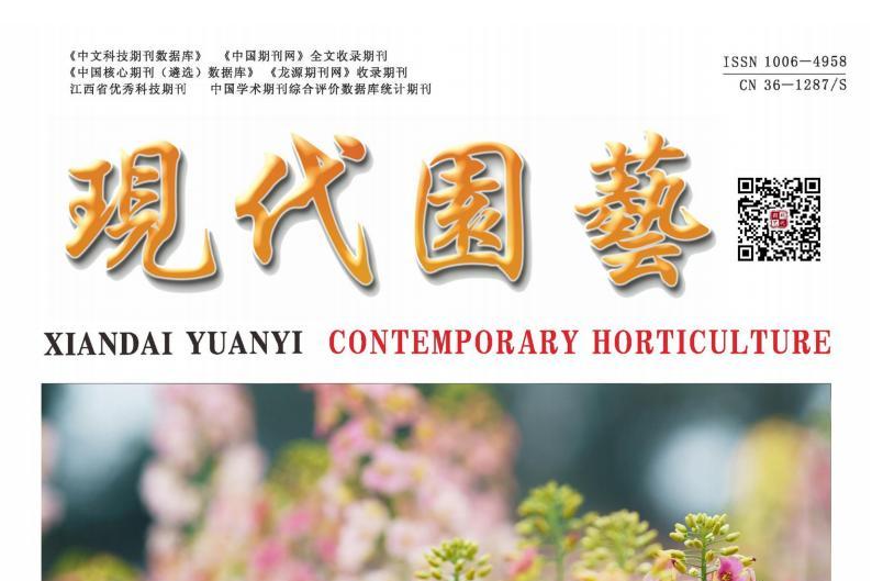 现代园艺