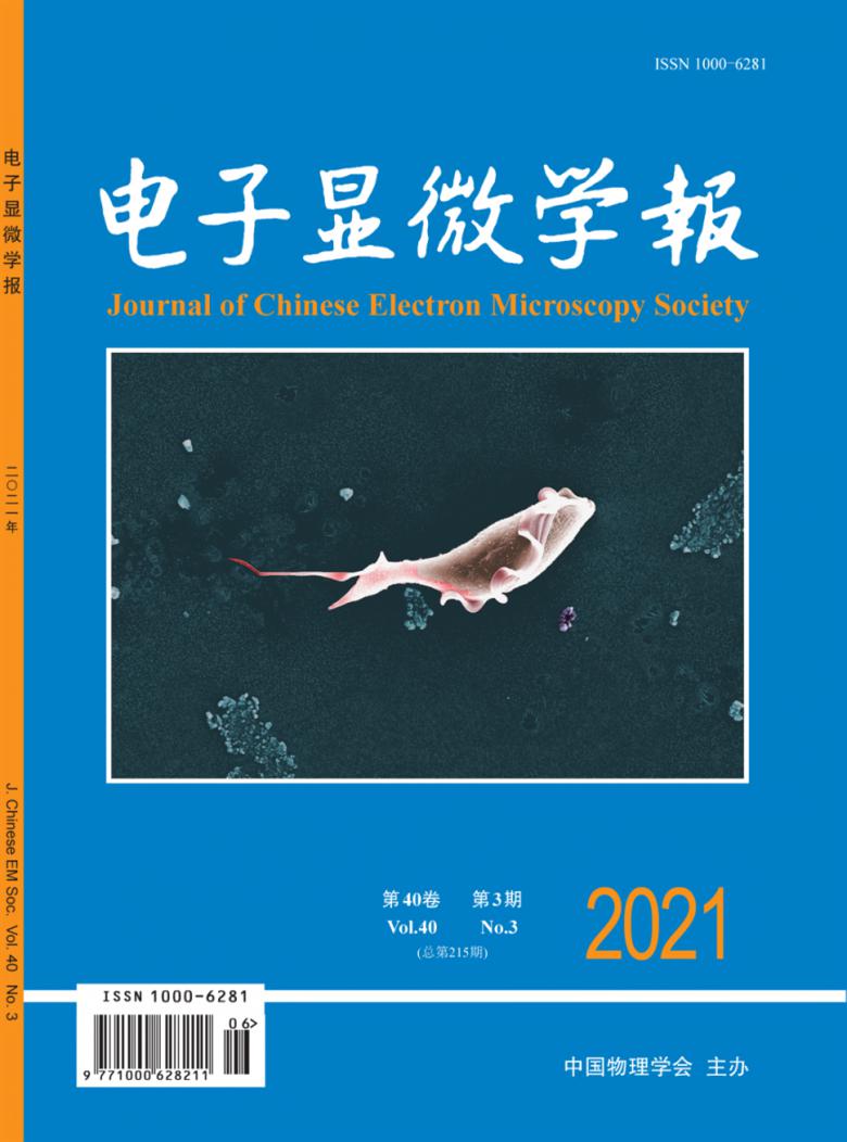 电子显微学报杂志封面