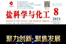盐科学与化工