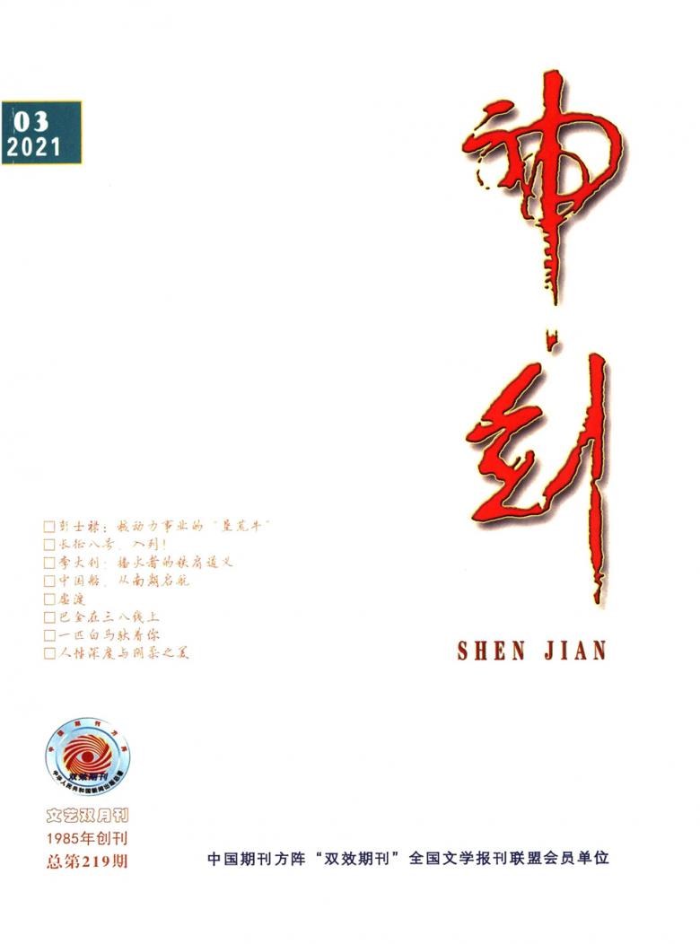 神剑封面