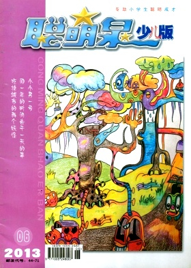 聪明泉杂志封面