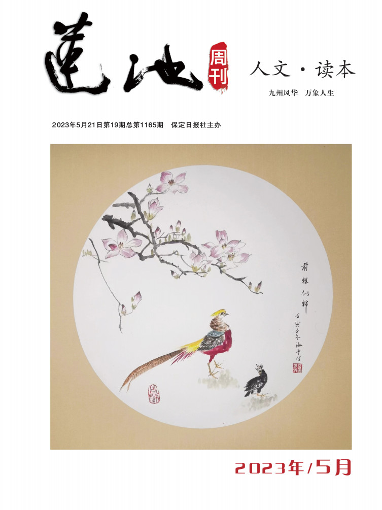 莲池周刊杂志封面