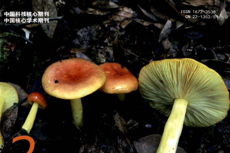 菌物研究