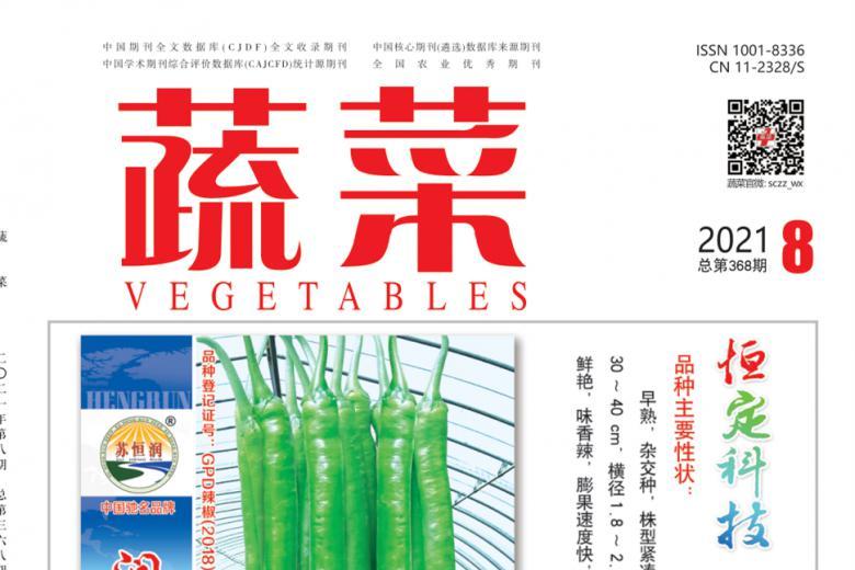 蔬菜