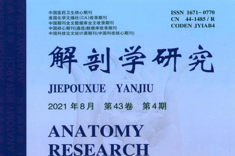 解剖学研究