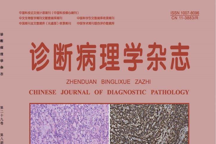 诊断病理学