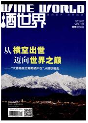 酒世界封面
