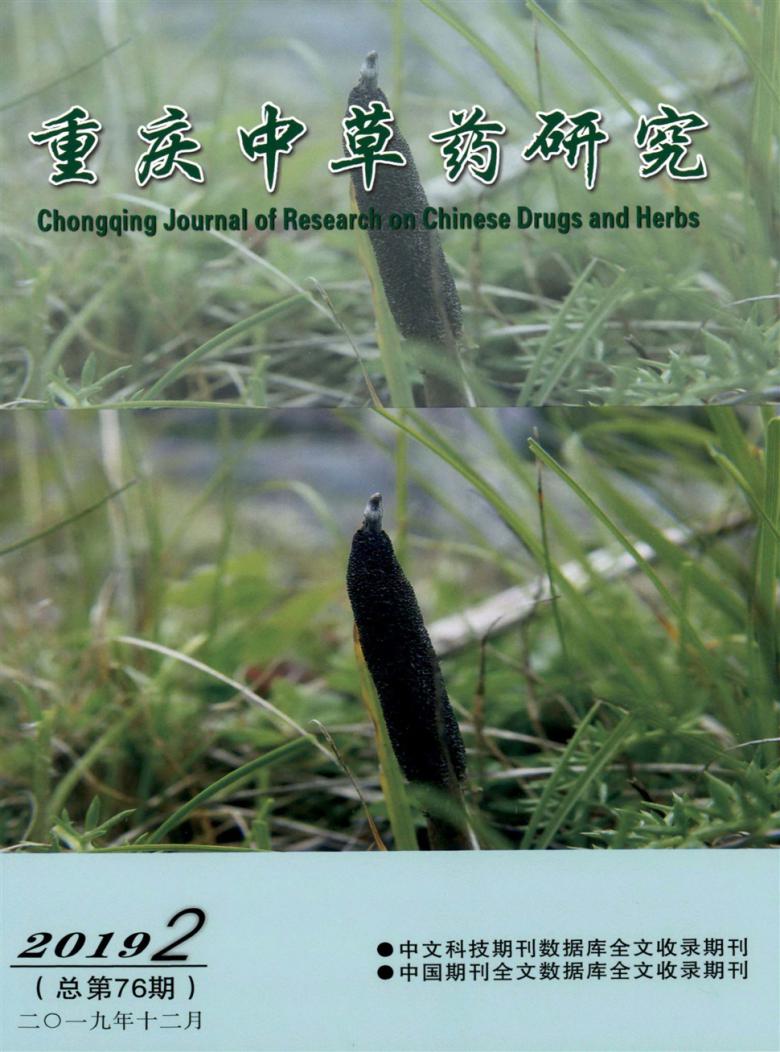 重庆中草药研究杂志封面