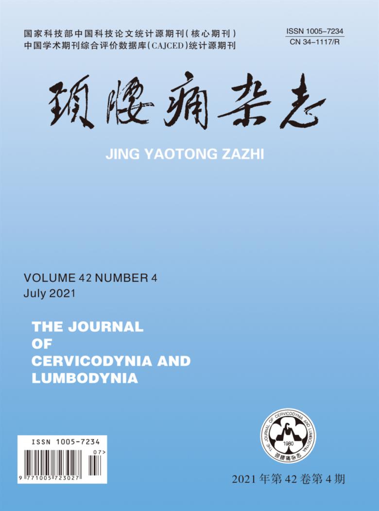 颈腰痛杂志封面
