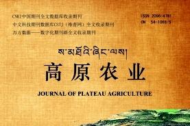 高原农业
