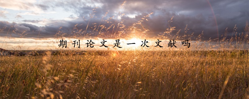 期刊论文是一次文献吗