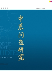 中东问题研究封面