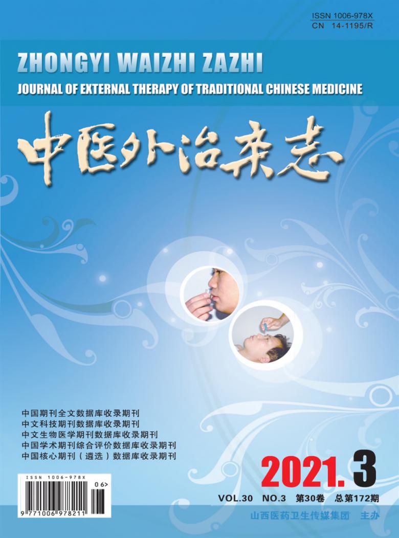中医外治杂志封面