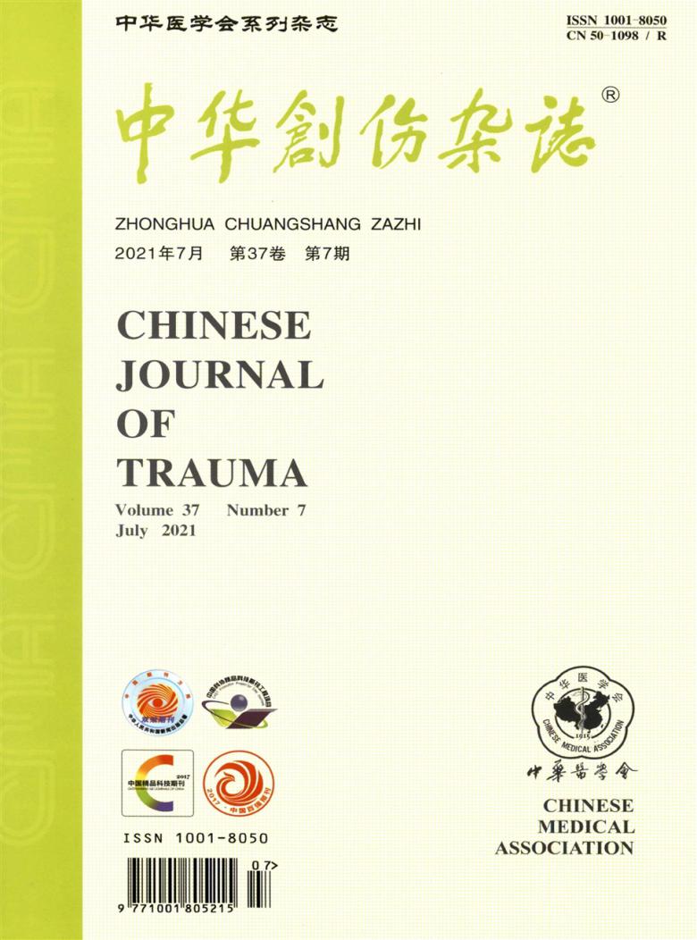中华创伤杂志封面